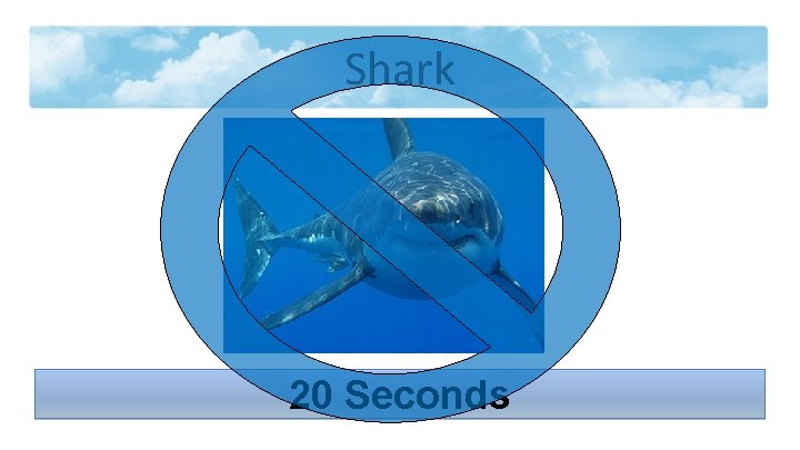 Shark 20 Seconds 