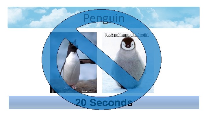 Penguin 20 Seconds 