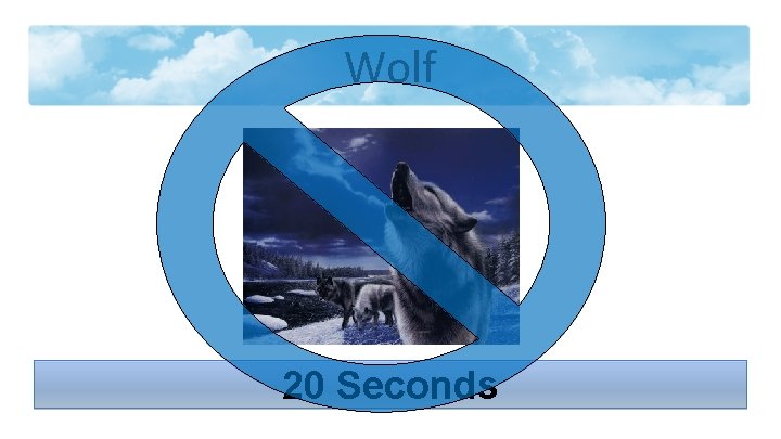 Wolf 20 Seconds 