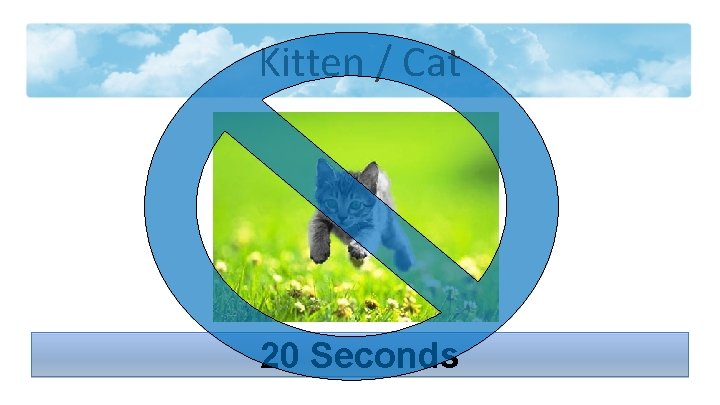 Kitten / Cat 20 Seconds 