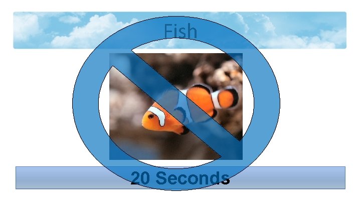 Fish 20 Seconds 
