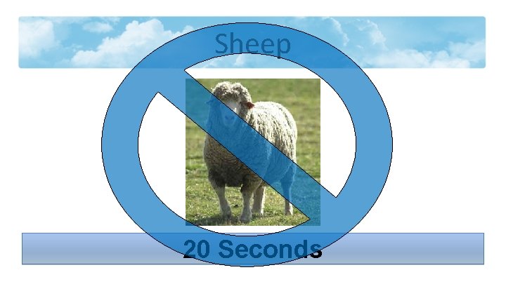 Sheep 20 Seconds 