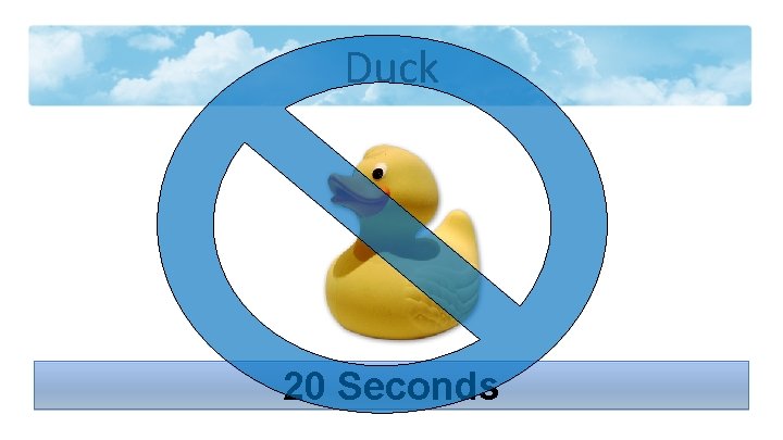 Duck 20 Seconds 