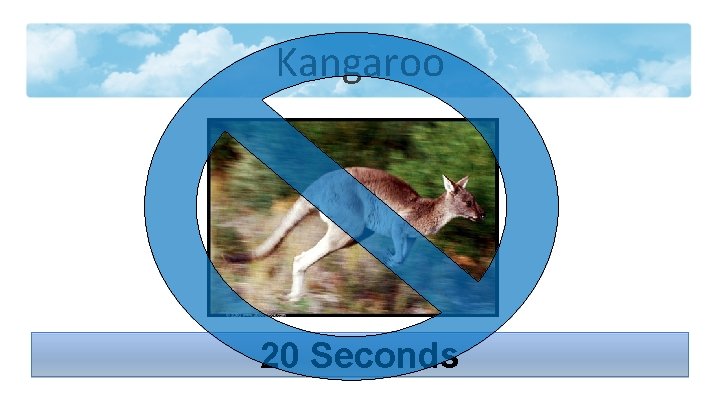 Kangaroo 20 Seconds 