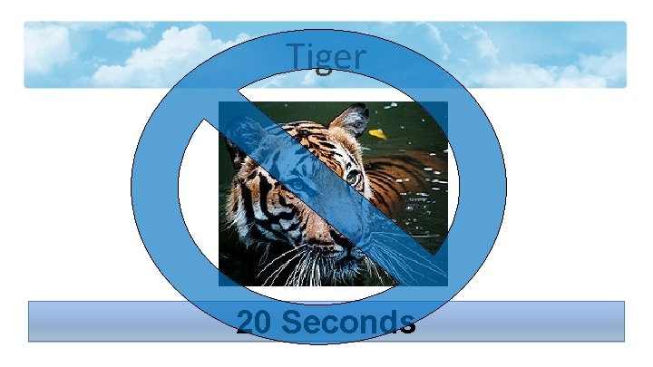Tiger 20 Seconds 