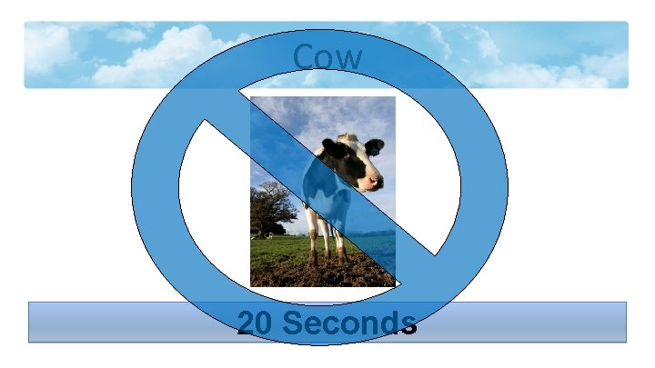 Cow 20 Seconds 