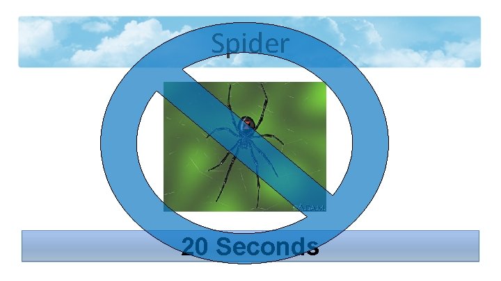 Spider 20 Seconds 