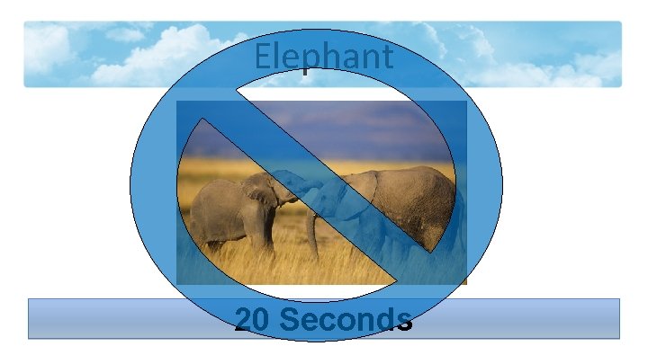 Elephant 20 Seconds 