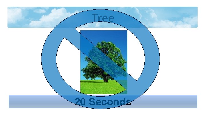 Tree 20 Seconds 