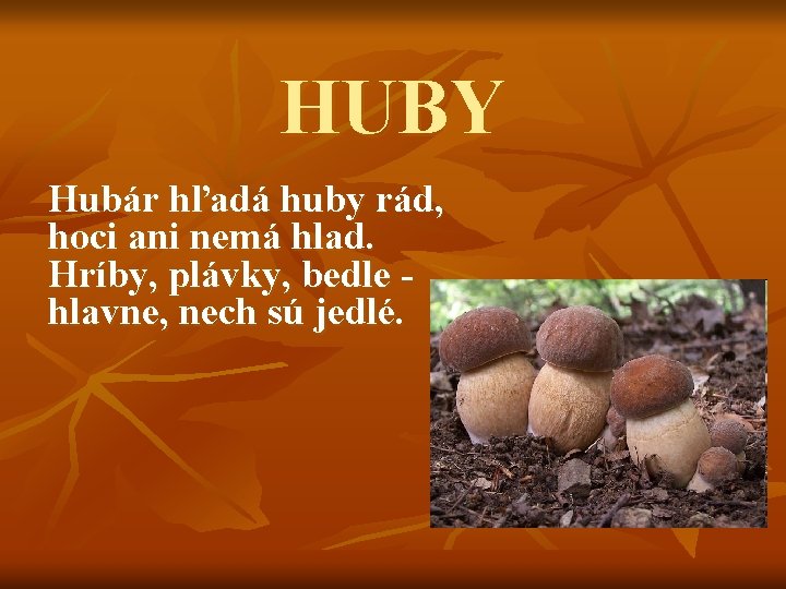 HUBY Hubár hľadá huby rád, hoci ani nemá hlad. Hríby, plávky, bedle hlavne, nech