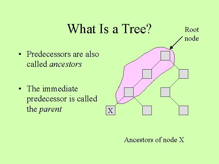 What Is a Tree? • Predecessors are also called ancestors • The immediate predecessor