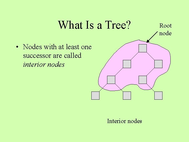 What Is a Tree? • Nodes with at least one successor are called interior