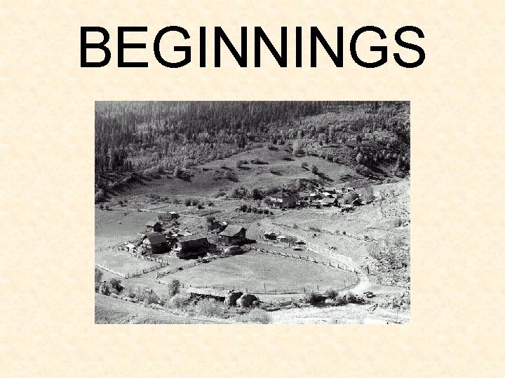 BEGINNINGS BEGINNINGS
