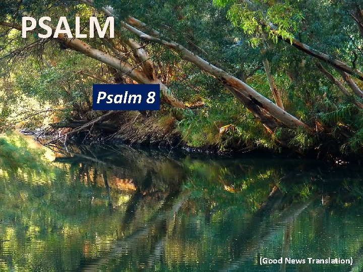 PSALM Psalm 8 (Good News Translation) 