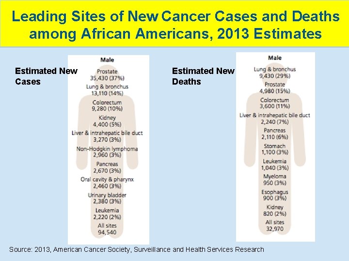 Leading Sites of New Cancer Cases and Deaths among African Americans, 2013 Estimates Estimated