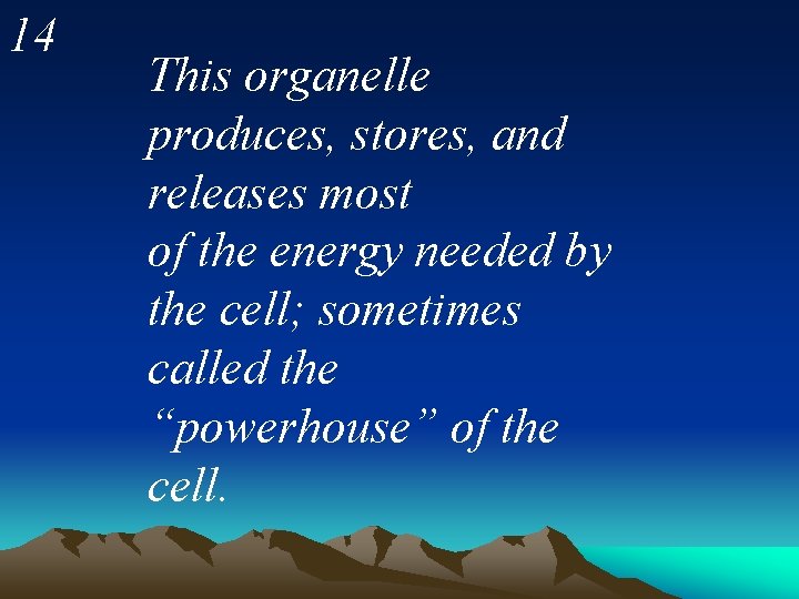 14 This organelle produces, stores, and releases most of the energy needed by the