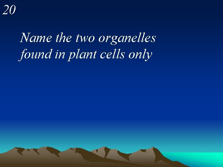 20 Name the two organelles found in plant cells only 
