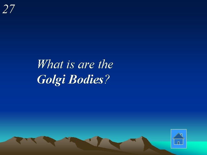 27 What is are the Golgi Bodies? 