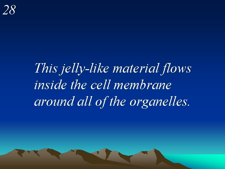 28 This jelly-like material flows inside the cell membrane around all of the organelles.