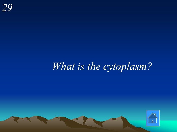 29 What is the cytoplasm? 