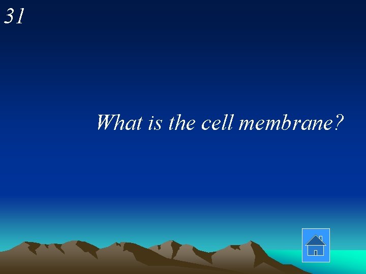 31 What is the cell membrane? 