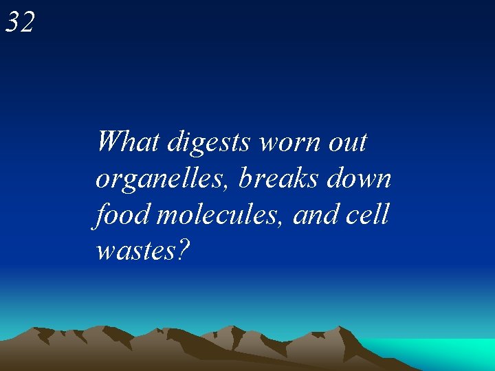 32 What digests worn out organelles, breaks down food molecules, and cell wastes? 