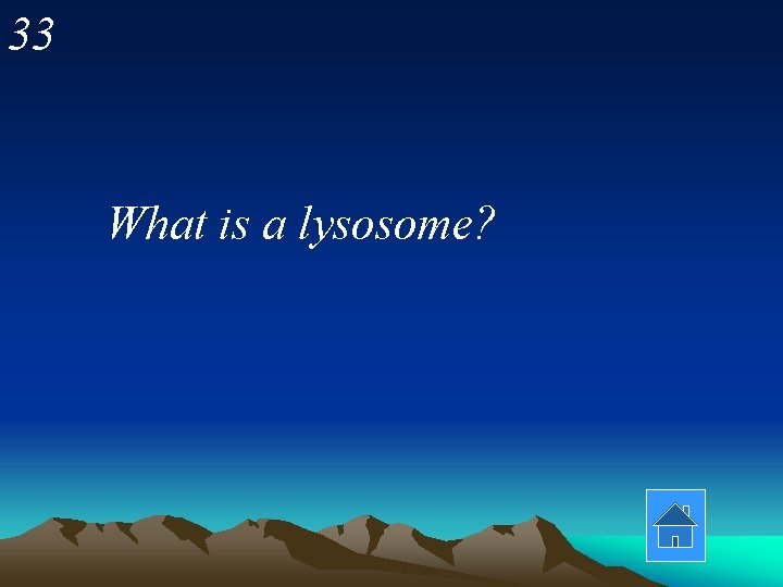 33 What is a lysosome? 