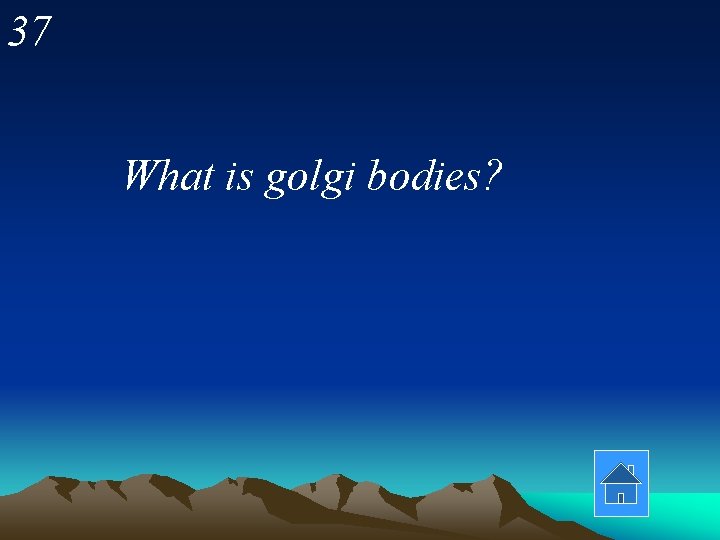 37 What is golgi bodies? 