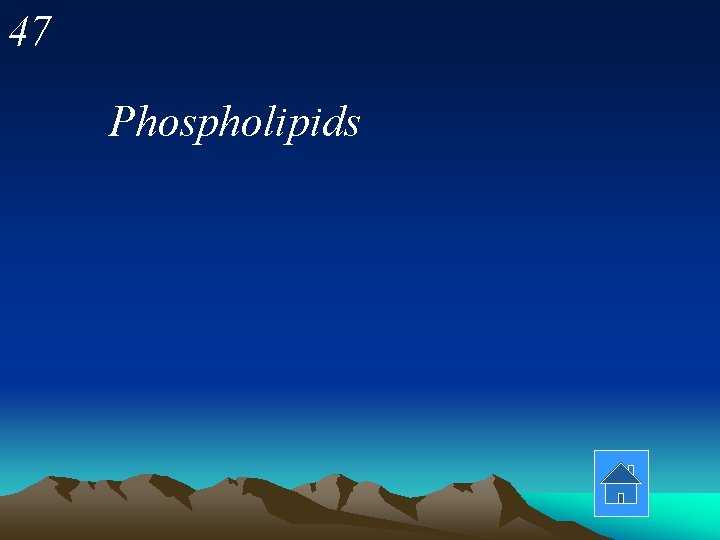 47 Phospholipids 