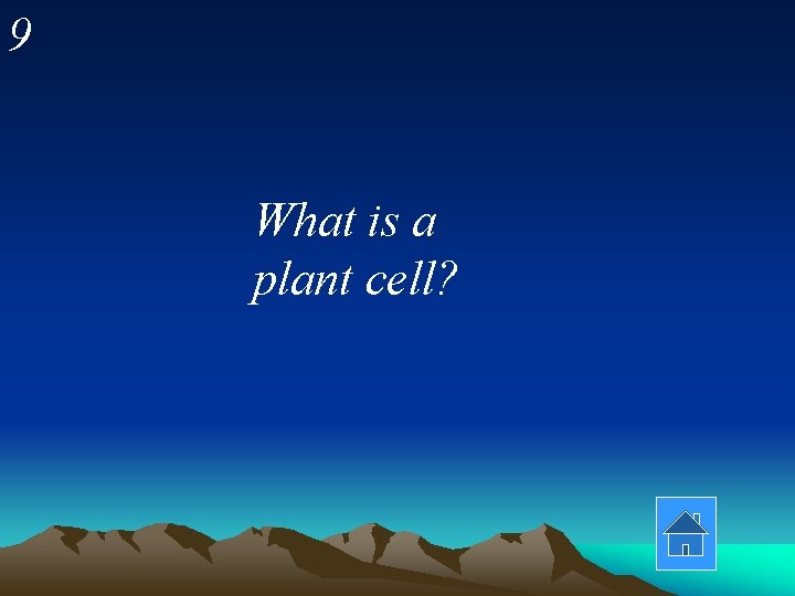 9 What is a plant cell? 