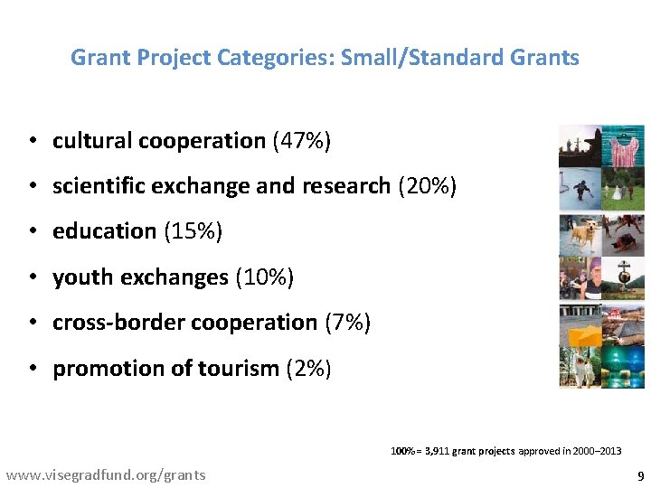 Grant Project Categories: Small/Standard Grants • cultural cooperation (47%) • scientific exchange and research