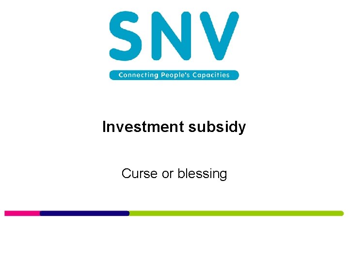 Investment subsidy Curse or blessing 