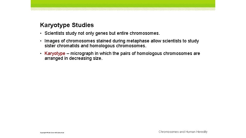 Karyotype Studies • Scientists study not only genes but entire chromosomes. • Images of