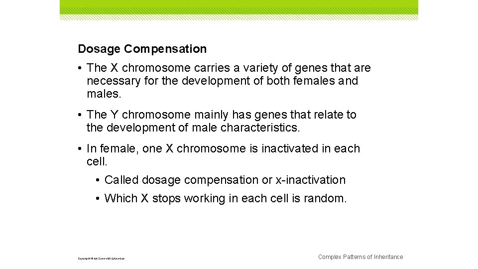 Dosage Compensation • The X chromosome carries a variety of genes that are necessary