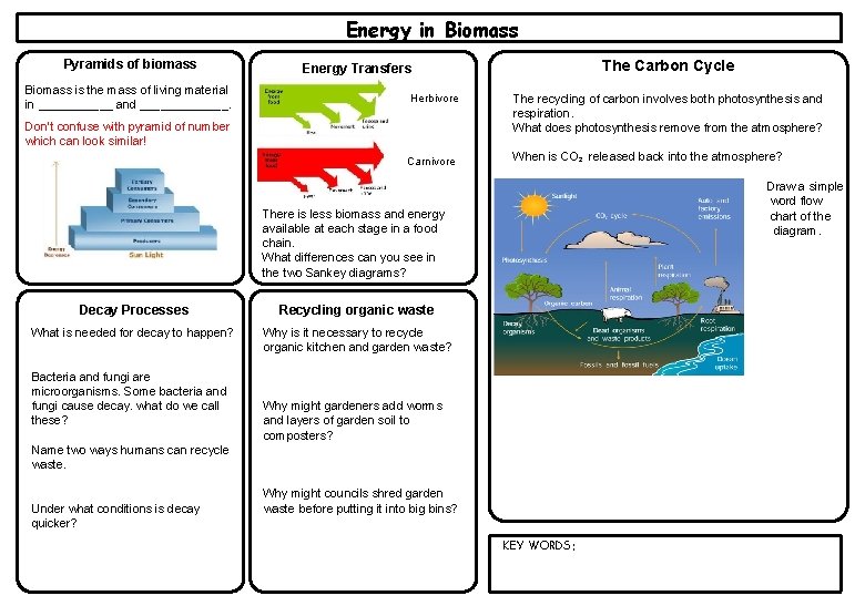 Energy in Biomass Pyramids of biomass Biomass is the mass of living material in