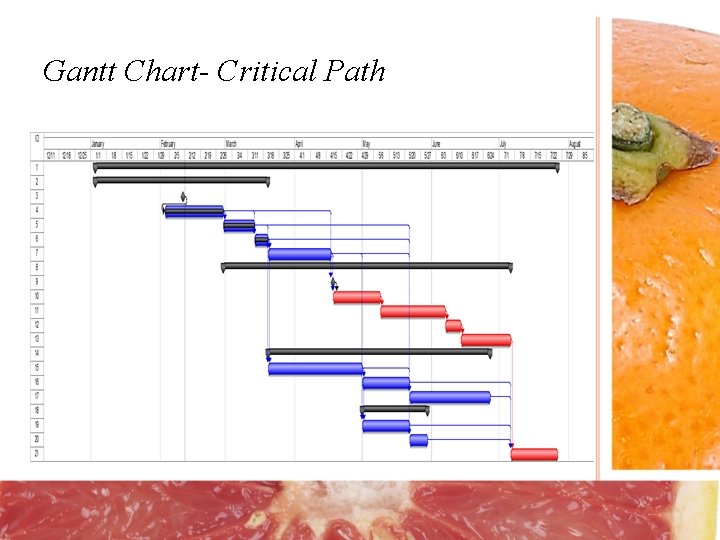 Gantt Chart- Critical Path 