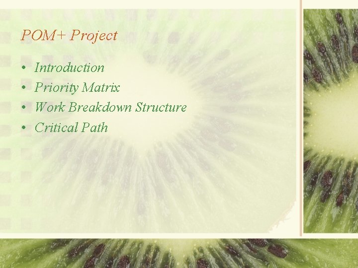 POM+ Project • • Introduction Priority Matrix Work Breakdown Structure Critical Path 