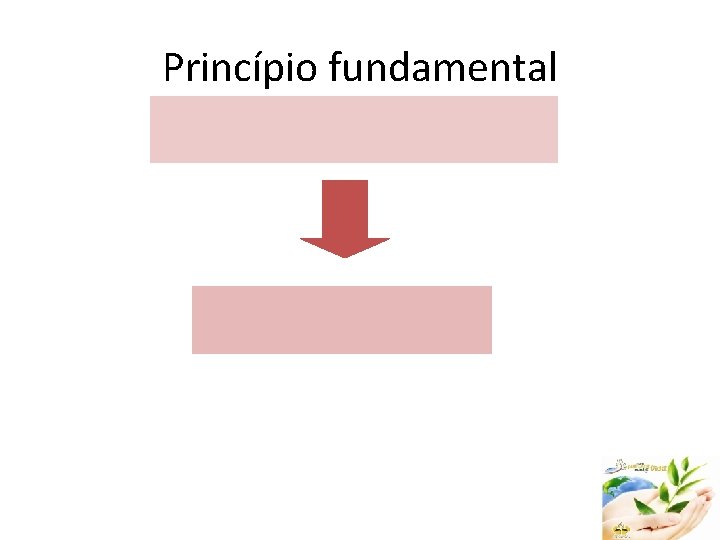 Princípio fundamental 