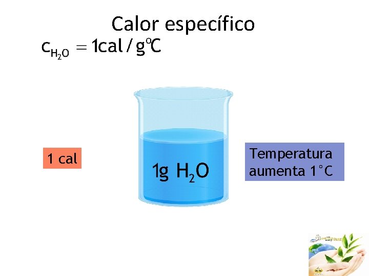 Calor específico 1 cal Temperatura aumenta 1°C 