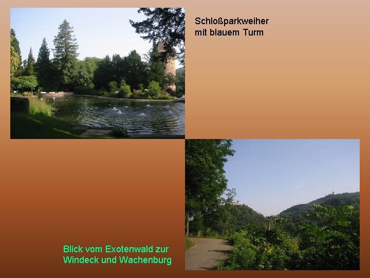 Schloßparkweiher mit blauem Turm Blick vom Exotenwald zur Windeck und Wachenburg 