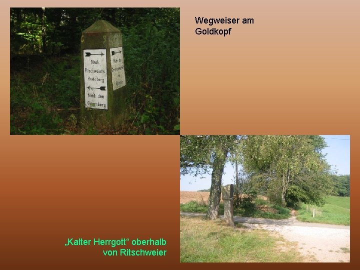 Wegweiser am Goldkopf „Kalter Herrgott“ oberhalb von Ritschweier 