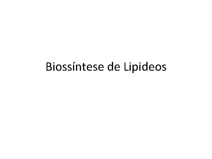 Biossíntese de Lipideos 