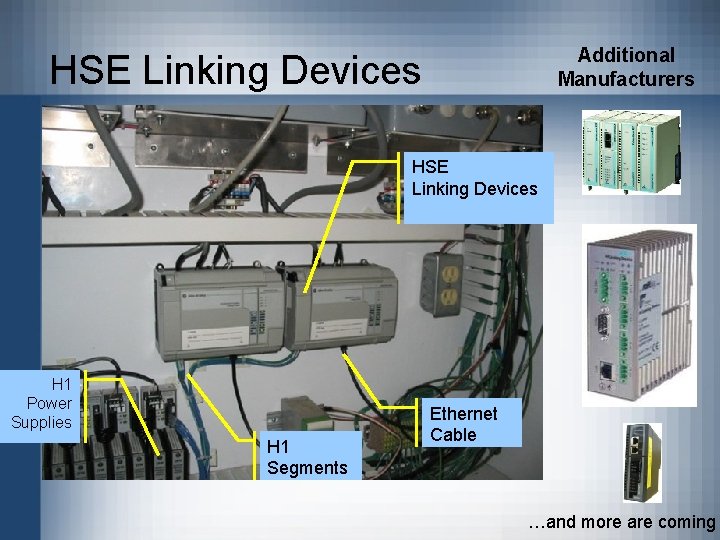 Additional Manufacturers HSE Linking Devices H 1 Power Supplies H 1 Segments Ethernet Cable