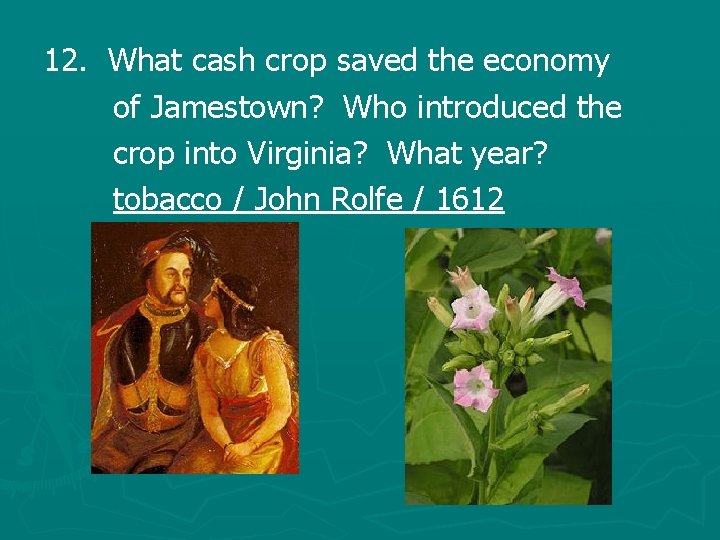 12. What cash crop saved the economy of Jamestown? Who introduced the crop into