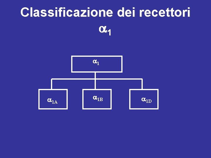 Classificazione dei recettori 1 1 1 A 1 B 1 D 