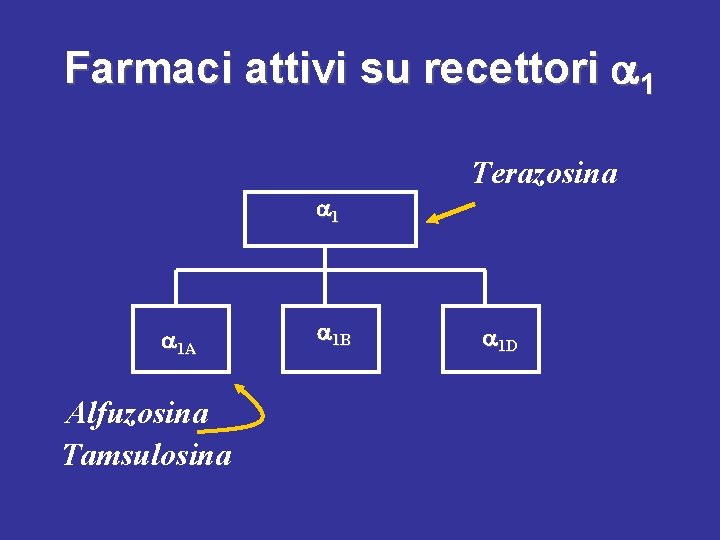 Farmaci attivi su recettori 1 Terazosina 1 1 A Alfuzosina Tamsulosina 1 B 1