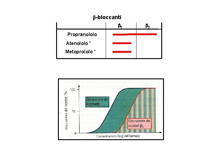  -bloccanti 1 Propranololo Atenololo * Metoprololo * 2 