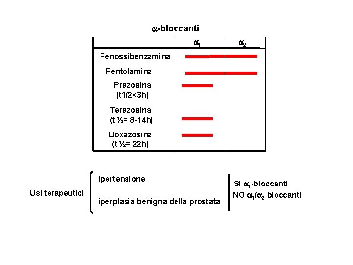  -bloccanti 1 2 Fenossibenzamina Fentolamina Prazosina (t 1/2<3 h) Terazosina (t ½= 8