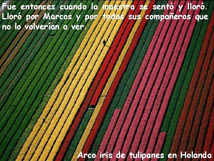 Fue entonces cuando la maestra se sentó y lloró. Lloró por Marcos y por