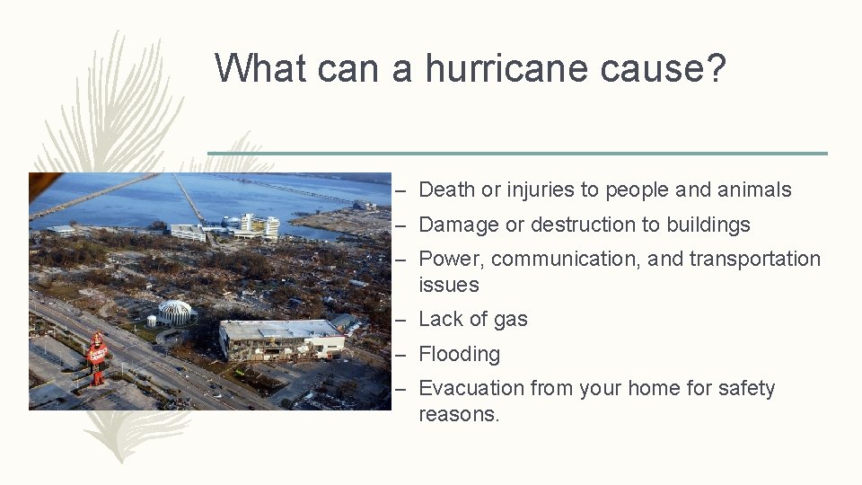 What can a hurricane cause? – Death or injuries to people and animals –